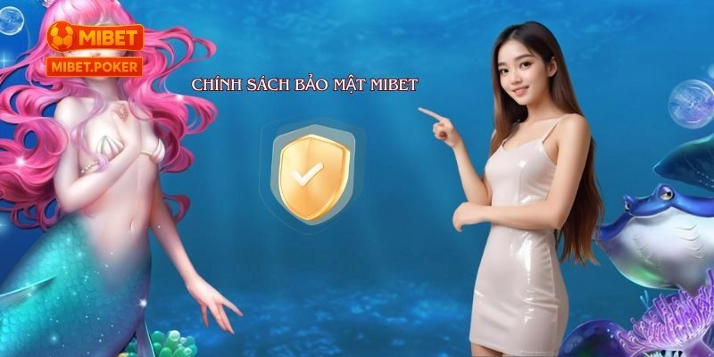 Tại Sao Chính Sách Bảo Mật MIBET Lại Quan Trọng?